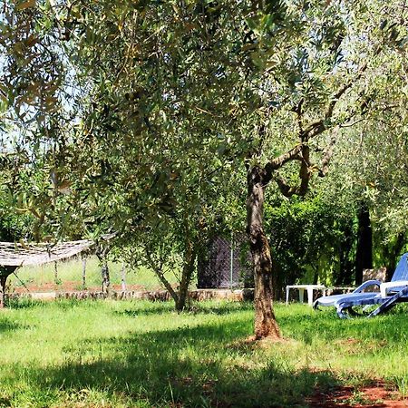 Villa Oliven Garden à Rovinj Extérieur photo