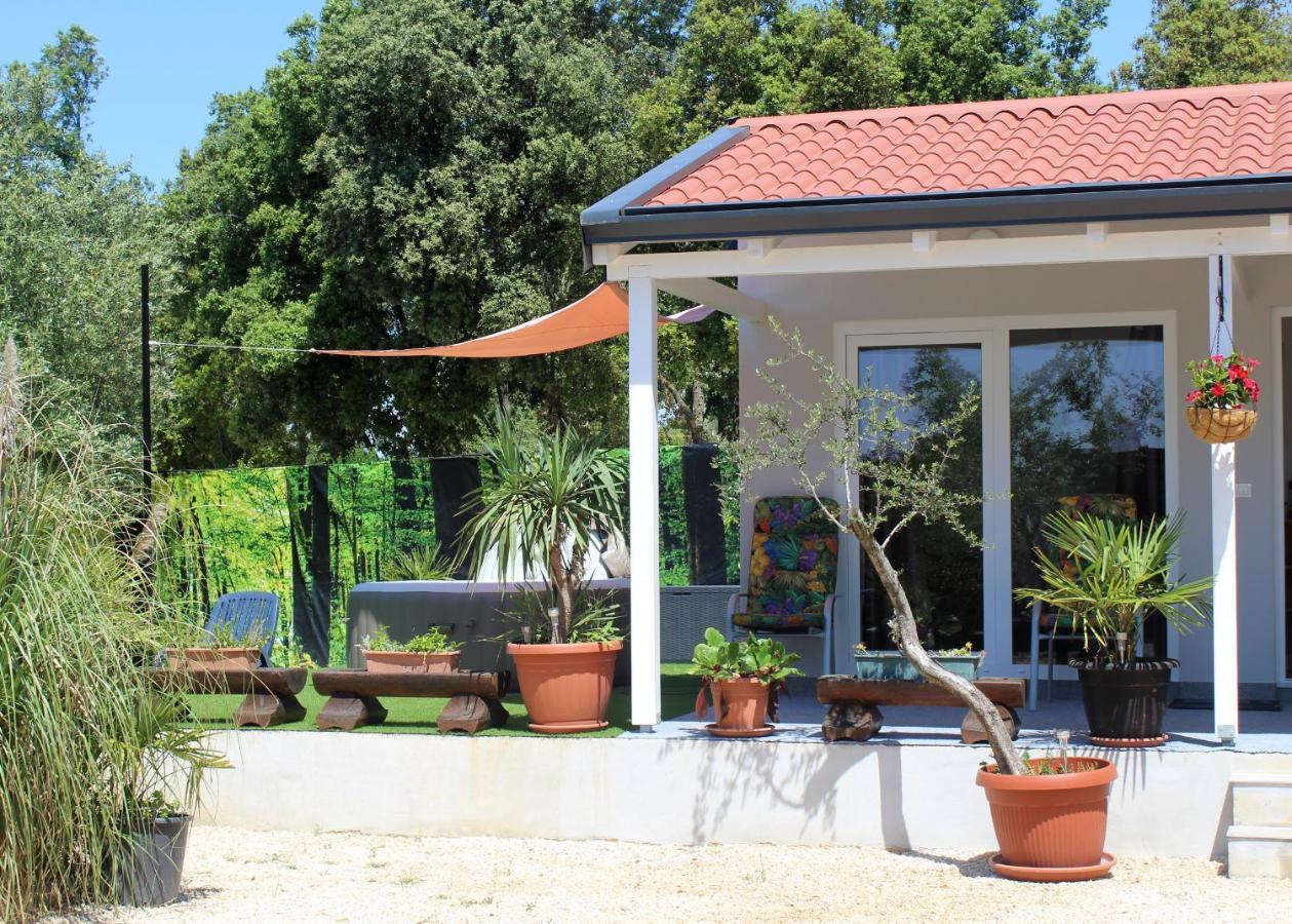Villa Oliven Garden à Rovinj Extérieur photo