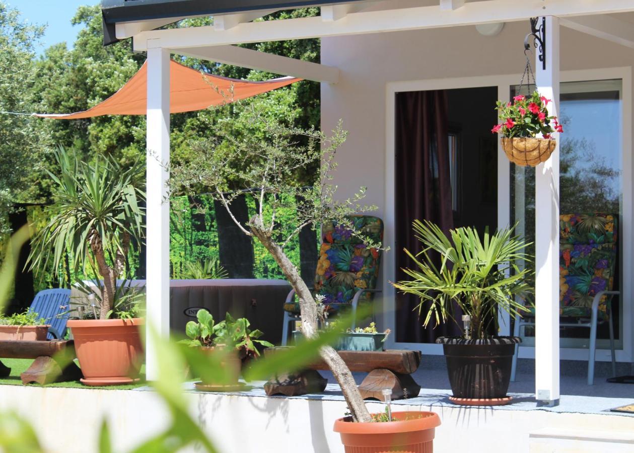 Villa Oliven Garden à Rovinj Extérieur photo
