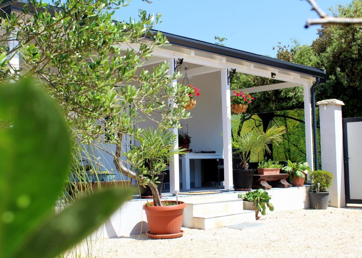 Villa Oliven Garden à Rovinj Extérieur photo