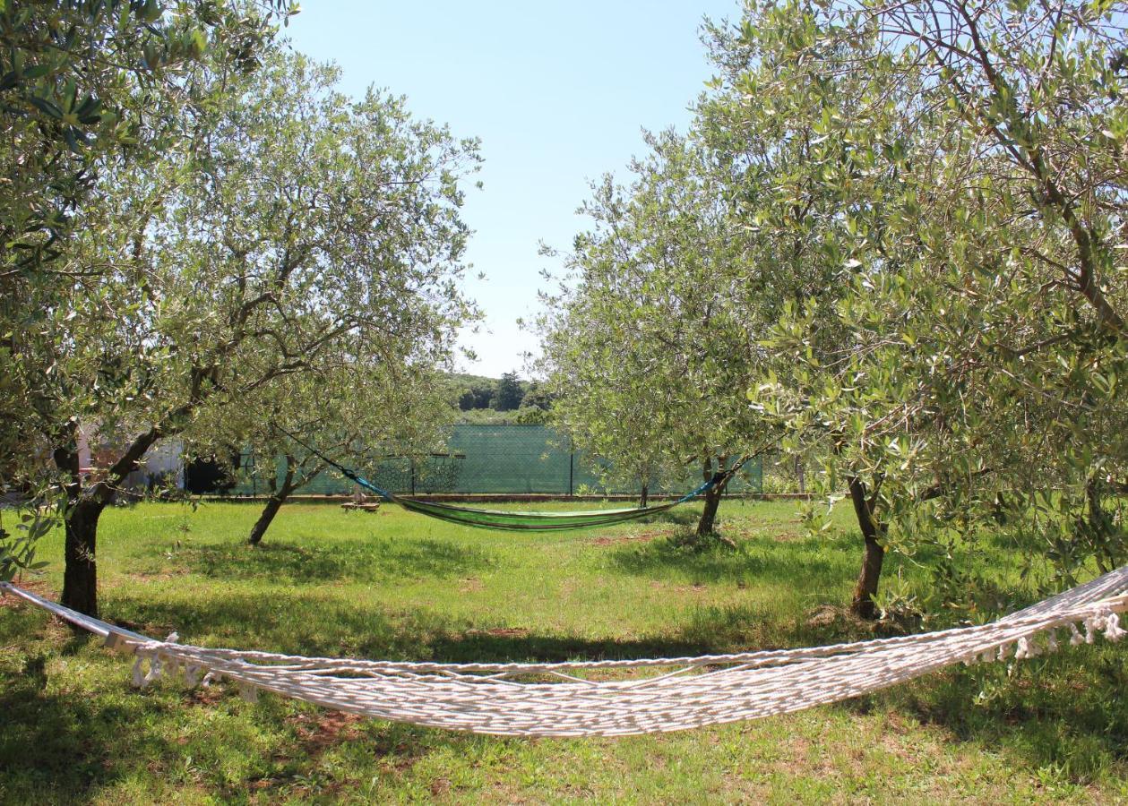 Villa Oliven Garden à Rovinj Extérieur photo