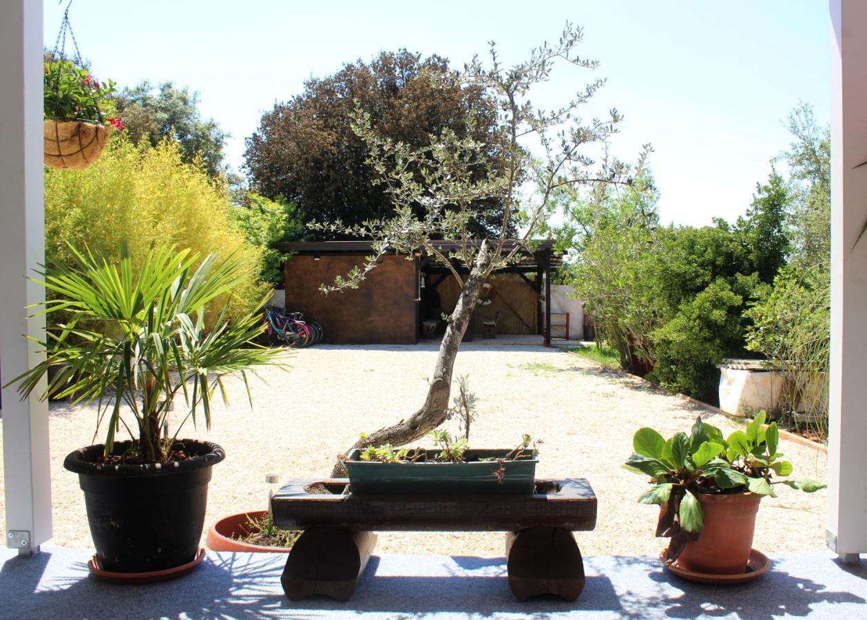 Villa Oliven Garden à Rovinj Extérieur photo