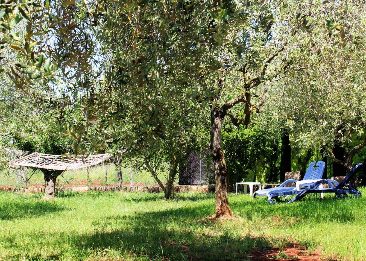 Villa Oliven Garden à Rovinj Extérieur photo