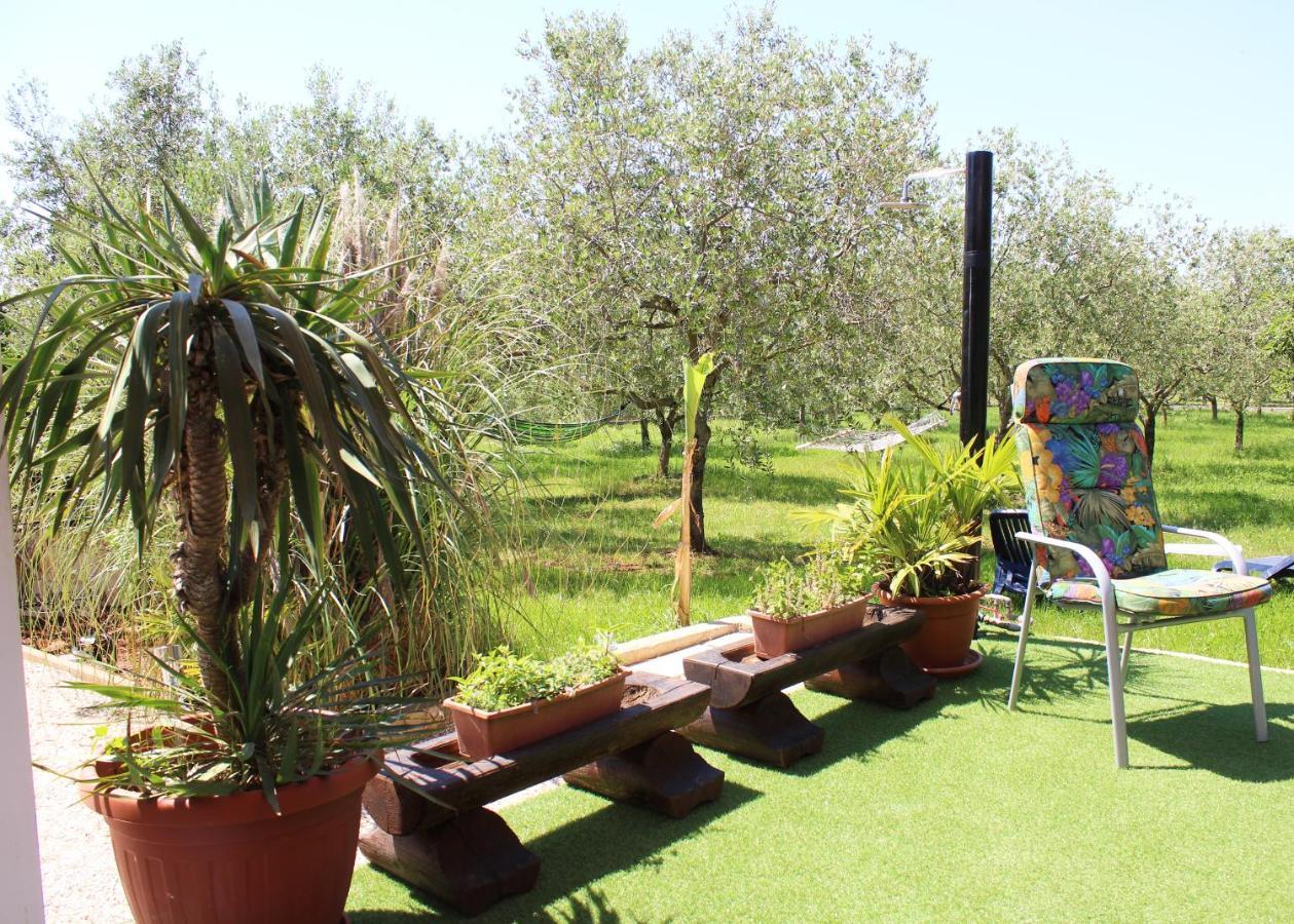 Villa Oliven Garden à Rovinj Extérieur photo
